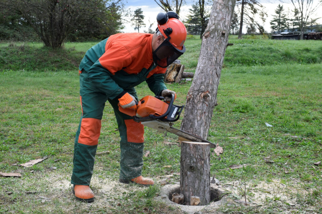 Slika https://www.morh.hr/wp-content/uploads/2023/10/dsc4304-1024x683.jpg