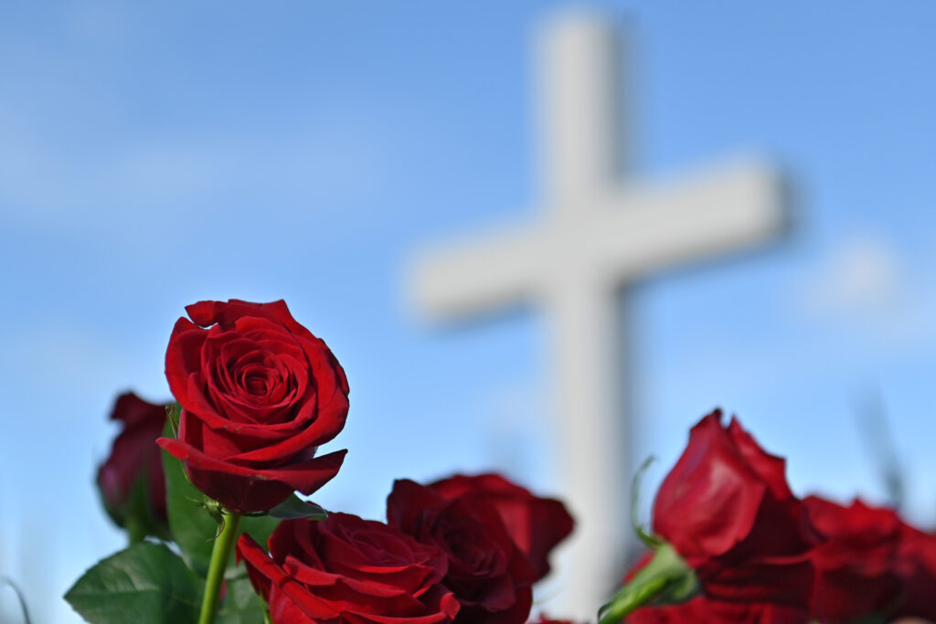 Slika https://www.morh.hr/wp-content/uploads/2023/11/wil_3273-1024x683.jpg