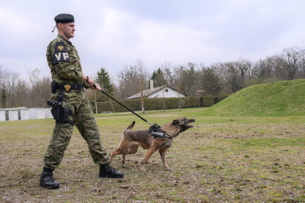 Slika https://www.morh.hr/wp-content/uploads/2024/03/2024-03-08-vodic-pasa-1-1024x681.jpg