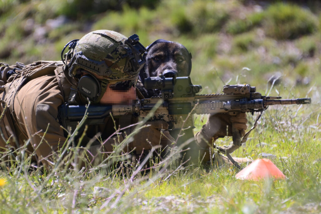 Slika https://www.morh.hr/wp-content/uploads/2024/07/2024-07-29-zss-07-1024x681.jpg