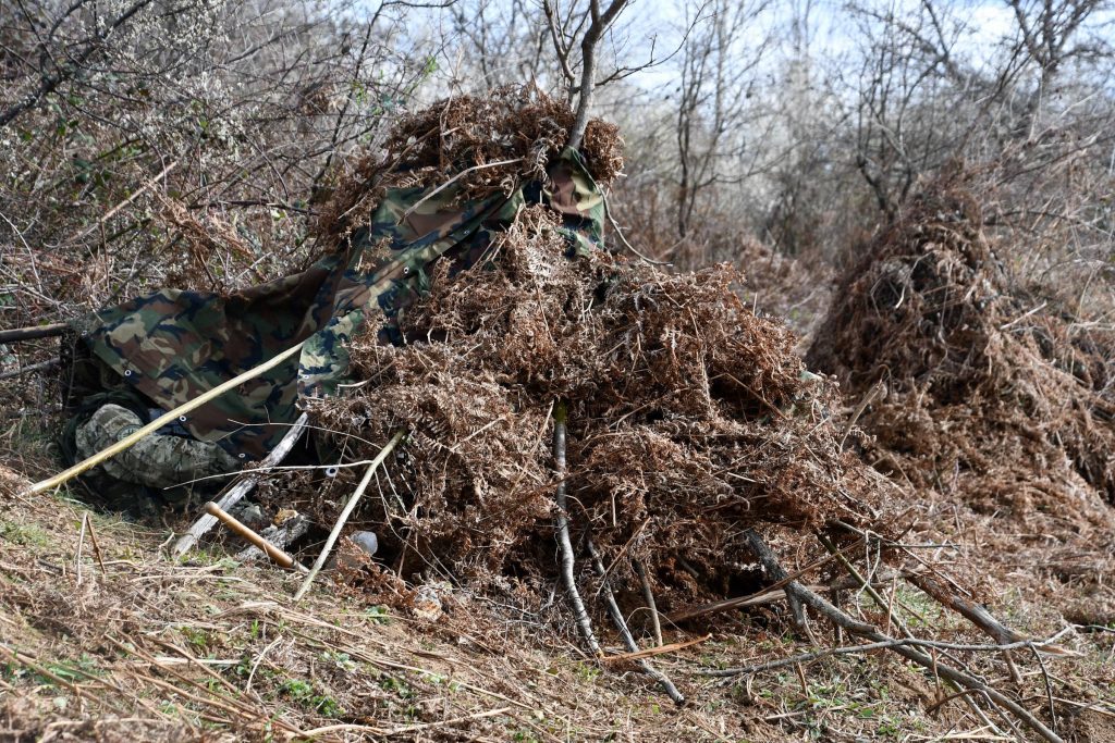 Slika https://www.morh.hr/wp-content/uploads/2025/04/2025-04-01-vuk-1024x683.jpg