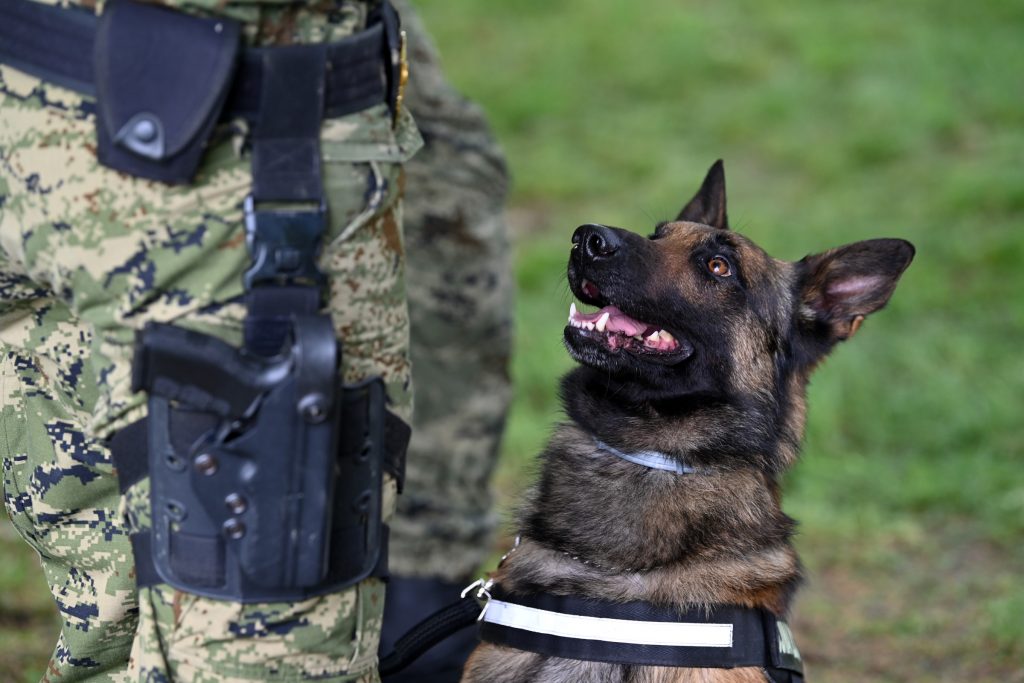 Slika https://www.morh.hr/wp-content/uploads/2025/05/2025-05-07-vp-u-osijeku-1024x683.jpg