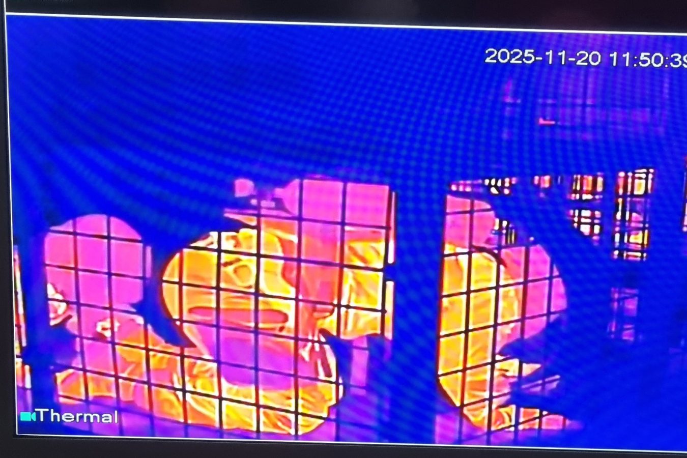 Slika https://www.morh.hr/wp-content/uploads/2025/11/2025-11-24-bnbko-kavez-1350x900.jpg