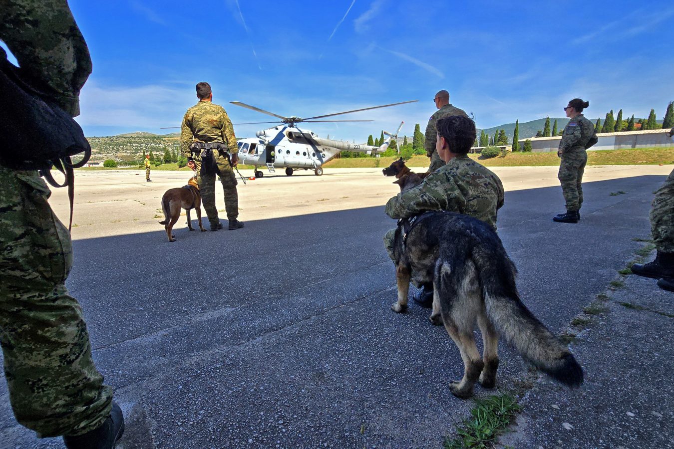 Slika https://www.morh.hr/wp-content/uploads/2026/06/2026-06-10-obuka-vojnopolicijskih-pasa--1350x900.jpg