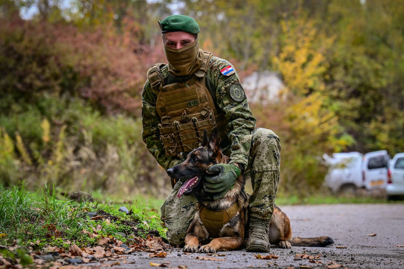 Slika https://www.morh.hr/wp-content/uploads/2026/10/2026-10-29-vojni-psi-1350x900.jpg
